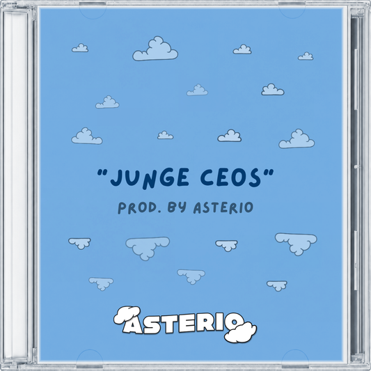 Pashanim type beat - "junge ceos"