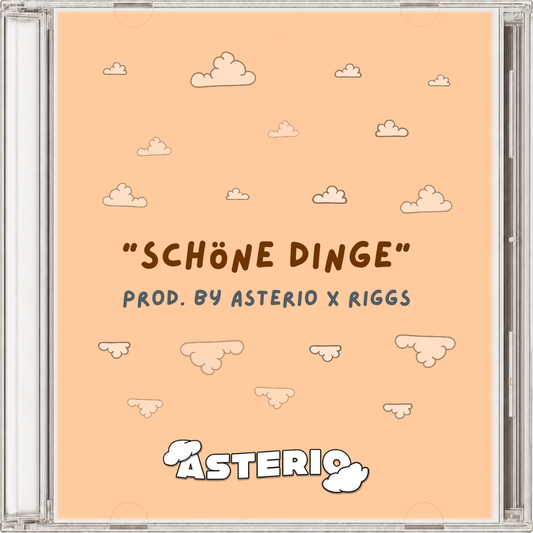 Chapo102 type beat - "schöne dinge"