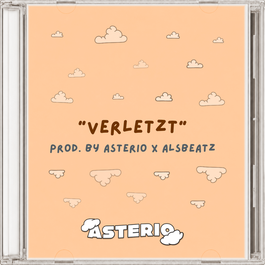 t-low type beat - "verletzt"