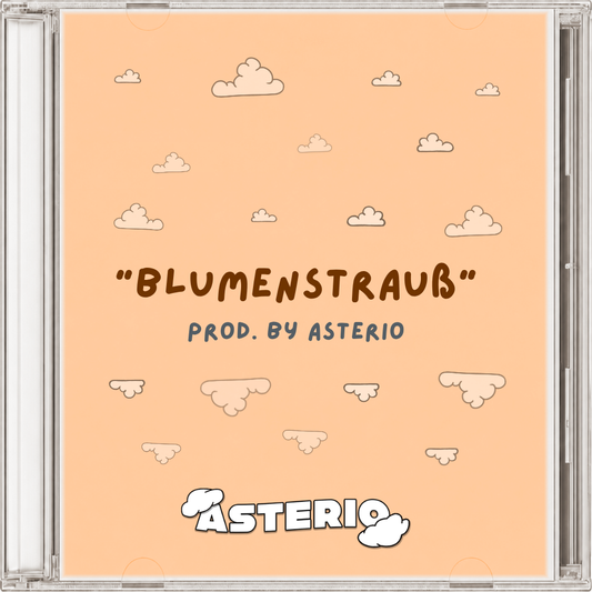 CIVO type beat - "blumenstrauß"