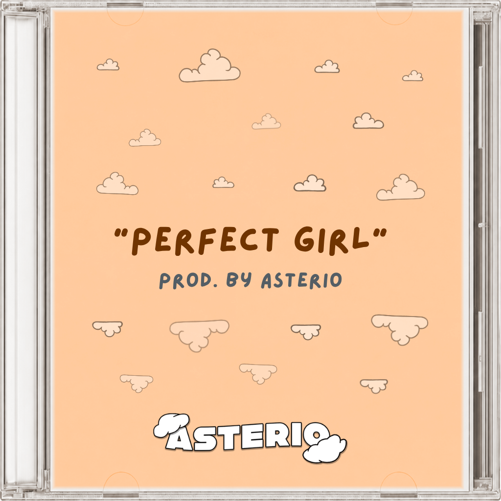 t-low type beat - "perfect girl"