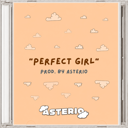 t-low type beat - "perfect girl"